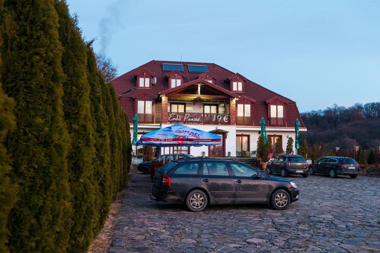 Pensiunea Si Restaurant Erdo Odorheiu Secuiesc Luaran gambar